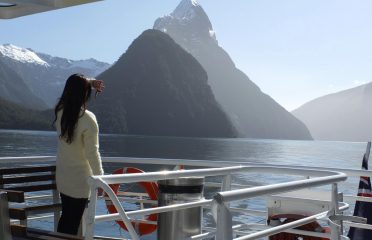 Private Discovery Tours
Milford Sound Discovery Tour