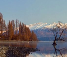 Remarkable Scenic Tours
Arrowtown Wanaka Half and Full day sightseeing tours.