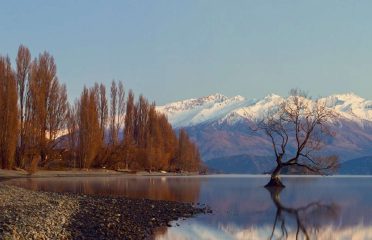 Remarkable Scenic Tours
Arrowtown Wanaka Half and Full day sightseeing tours.