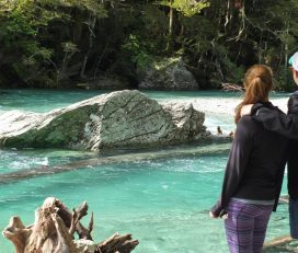 Private Discovery Tours
Routeburn Valley Walk