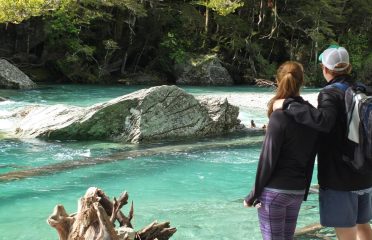 Private Discovery Tours
Routeburn Valley Walk