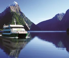 JUCY Cruise
Milford Sound – Day Trips