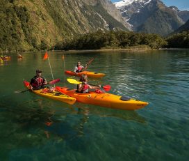Southern Discoveries
Milford Sound Cruise & Kayak
