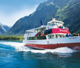 Southern Discoveries
Milford Sound Encounter Nature Cruise