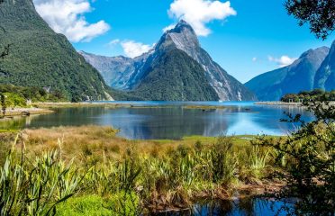 Alpine Adventures
Milford Sound Private Tour – Privately Guided