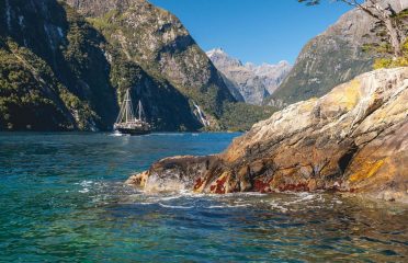 Real Journeys
Milford Sound Nature Cruises