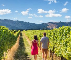Alpine Adventures
Queenstown Wine & Cardrona Distillery Tour – Privately Guided