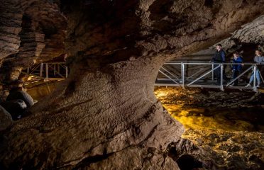 Real Journeys
Te Anau Glowworm Caves