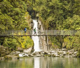 Ultimate Hikes
Milford Track 5 day/4 night Guided Walk