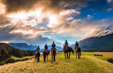 HIGH COUNTRY HORSESRees River Trail, Isendgard, Full Day rides and Multi day