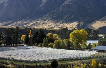 Coal Pit Vineyard & Winery