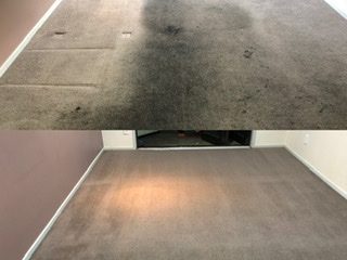 Crown Carpet Cleaning