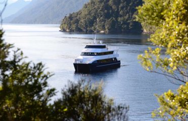 Fiordland Discovery Milford Sound Overnight Cruise