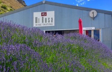 Around The Basin Bike Tours
Bike The Wineries Half Day Self Guided Tour