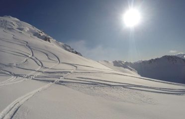 Alpine Heliski
Freeride Heliski Packages