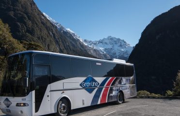 GrayLine
Milford Sound Day Tour & Cruise
