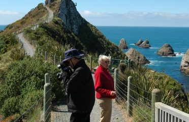 Private Discovery Tours
Catlins Discovery Tour