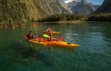 Southern Discoveries
Milford Sound Cruise & Kayak