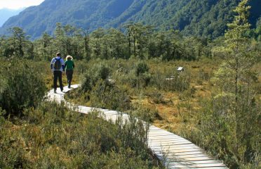 Real Journeys
Milford Track Guided Day Walk