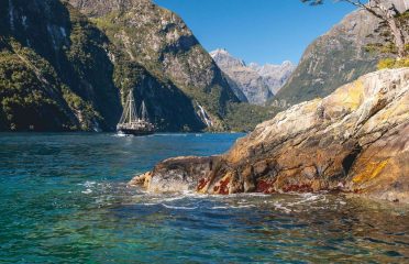 Real Journeys
Milford Sound Coach, Nature Cruise, Coach