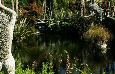 Dream Garden