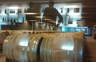 Alpine Adventures
Queenstown & Central Otago Wine Tour – Privately Guided