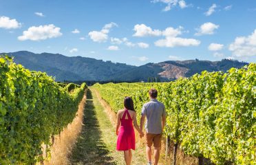 Alpine Adventures
Queenstown Wine & Cardrona Distillery Tour – Privately Guided