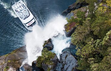Southern Discoveries
Milford Sound Nature Cruise