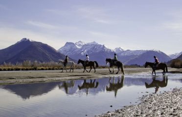 Dart Stables