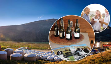 Alpine Wine Tours