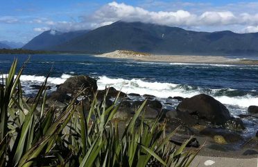 Alpine Adventures
Walking with Penguins & Seals Heli Hike