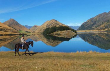 Ben Lomond Horse Treks
