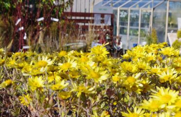 Shotover Garden Centre